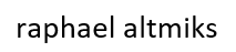 Raphael Altmiks Informationstechnology Development